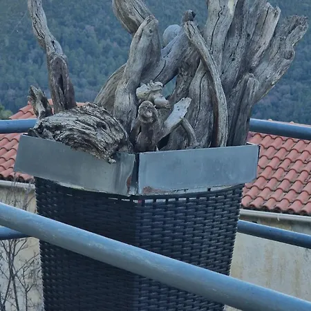 Montagne Corse *